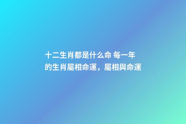 十二生肖都是什么命 每一年的生肖屬相命運，屬相與命運